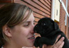 Dobanic Puppies